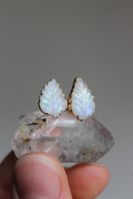 Load image into Gallery viewer, 14k Gold Carved Leaf Rainbow Moonstone Stud Earrings
