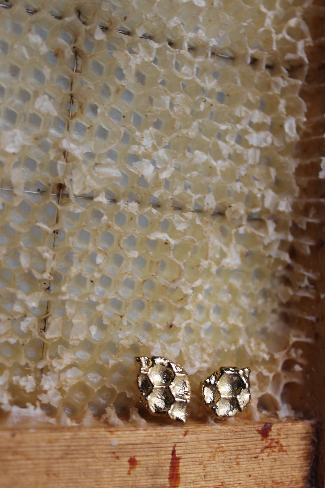 14k Gold Electroformed Honeycomb Stud Earrings